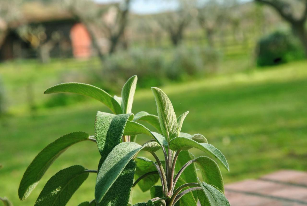 Agriturismo La Mandragola Relais Crotone Exterior foto