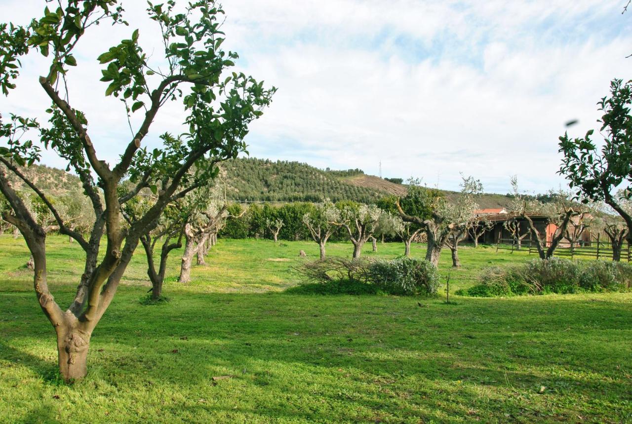 Agriturismo La Mandragola Relais Crotone Exterior foto